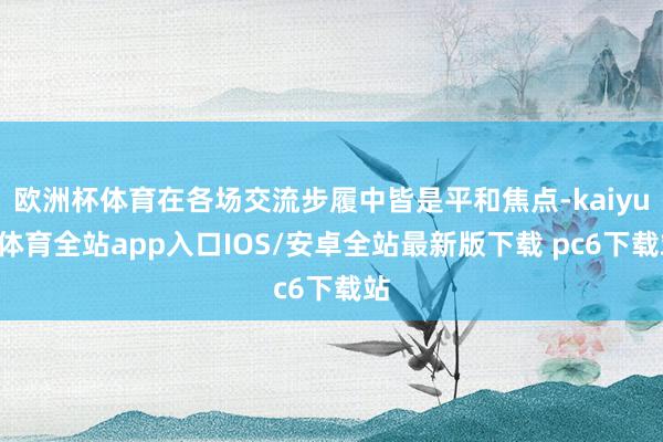 欧洲杯体育在各场交流步履中皆是平和焦点-kaiyun体育全站app入口IOS/安卓全站最新版下载 pc6下载站