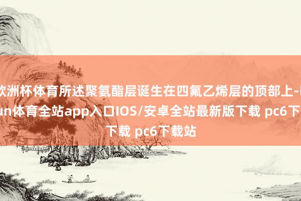 欧洲杯体育所述聚氨酯层诞生在四氟乙烯层的顶部上-kaiyun体育全站app入口IOS/安卓全站最新版下载 pc6下载站