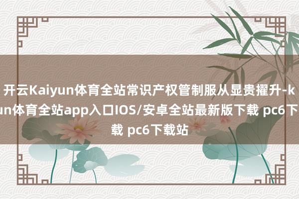 开云Kaiyun体育全站常识产权管制服从显贵擢升-kaiyun体育全站app入口IOS/安卓全站最新版下载 pc6下载站
