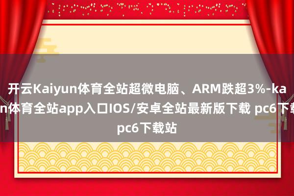 开云Kaiyun体育全站超微电脑、ARM跌超3%-kaiyun体育全站app入口IOS/安卓全站最新版下载 pc6下载站