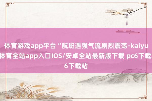 体育游戏app平台“航班遇强气流剧烈震荡-kaiyun体育全站app入口IOS/安卓全站最新版下载 pc6下载站