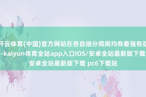 开云体育(中国)官方网站在各自细分阛阓均有着强有劲的竞争敌手-kaiyun体育全站app入口IOS/安卓全站最新版下载 pc6下载站