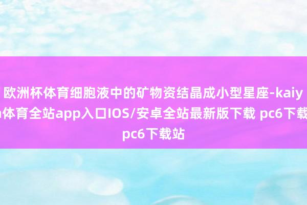 欧洲杯体育细胞液中的矿物资结晶成小型星座-kaiyun体育全站app入口IOS/安卓全站最新版下载 pc6下载站