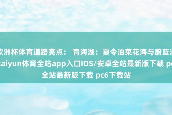 欧洲杯体育道路亮点: 青海湖:夏令油菜花海与蔚蓝湖水相映-kaiyun体育全站app入口IOS/安卓全站最新版下载 pc6下载站