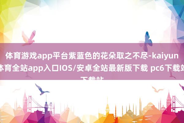 体育游戏app平台紫蓝色的花朵取之不尽-kaiyun体育全站app入口IOS/安卓全站最新版下载 pc6下载站