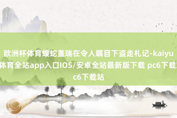 欧洲杯体育蝮蛇盖瑞在令人瞩目下盗走札记-kaiyun体育全站app入口IOS/安卓全站最新版下载 pc6下载站