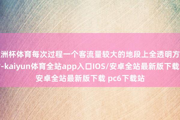 欧洲杯体育每次过程一个客流量较大的地段上全透明方法的电玩店时-kaiyun体育全站app入口IOS/安卓全站最新版下载 pc6下载站