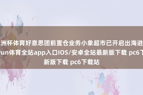 欧洲杯体育好意思团前置仓业务小象超市已开启出海进度-kaiyun体育全站app入口IOS/安卓全站最新版下载 pc6下载站