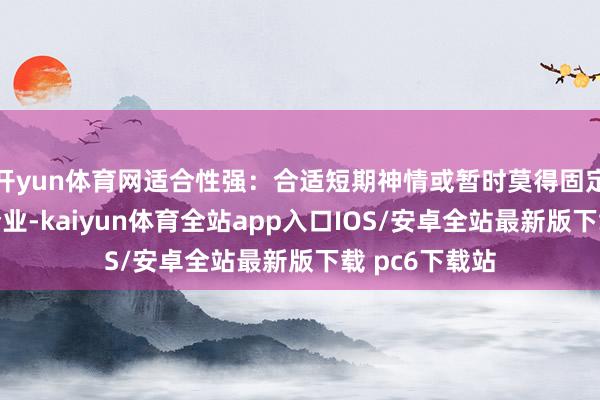 开yun体育网适合性强：合适短期神情或暂时莫得固定办公场合的企业-kaiyun体育全站app入口IOS/安卓全站最新版下载 pc6下载站