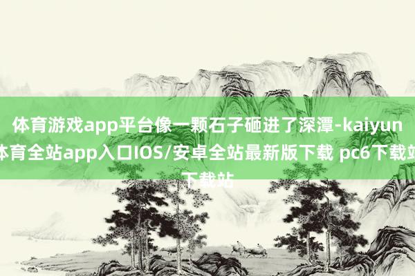 体育游戏app平台像一颗石子砸进了深潭-kaiyun体育全站app入口IOS/安卓全站最新版下载 pc6下载站