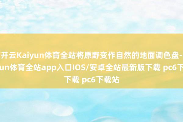 开云Kaiyun体育全站将原野变作自然的地面调色盘-kaiyun体育全站app入口IOS/安卓全站最新版下载 pc6下载站