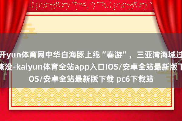 开yun体育网中华白海豚上线“春游”，三亚湾海域过往船只请提防淹没-kaiyun体育全站app入口IOS/安卓全站最新版下载 pc6下载站