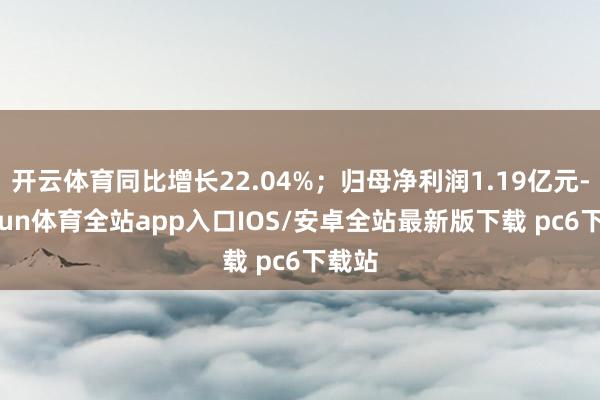 开云体育同比增长22.04%；归母净利润1.19亿元-kaiyun体育全站app入口IOS/安卓全站最新版下载 pc6下载站