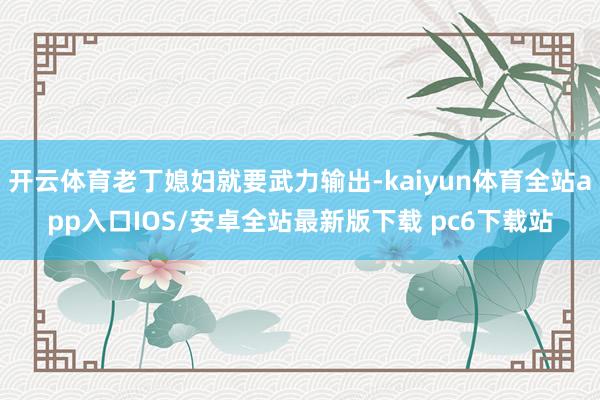 开云体育老丁媳妇就要武力输出-kaiyun体育全站app入口IOS/安卓全站最新版下载 pc6下载站