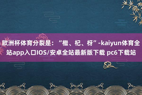 欧洲杯体育分裂是：“檵、杞、枒”-kaiyun体育全站app入口IOS/安卓全站最新版下载 pc6下载站