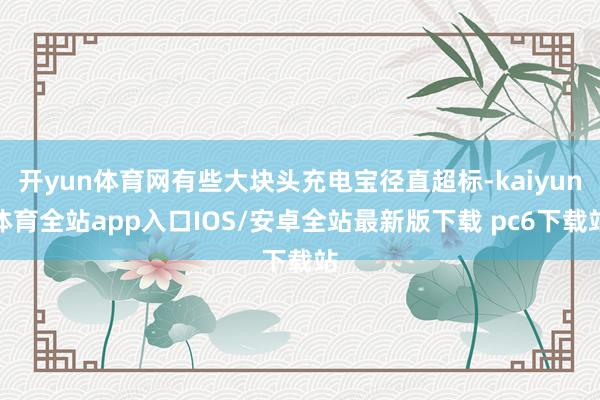 开yun体育网有些大块头充电宝径直超标-kaiyun体育全站app入口IOS/安卓全站最新版下载 pc6下载站
