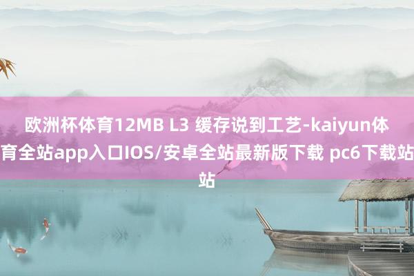 欧洲杯体育12MB L3 缓存说到工艺-kaiyun体育全站app入口IOS/安卓全站最新版下载 pc6下载站