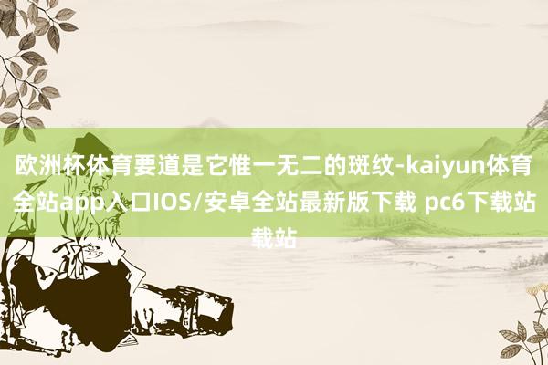 欧洲杯体育要道是它惟一无二的斑纹-kaiyun体育全站app入口IOS/安卓全站最新版下载 pc6下载站