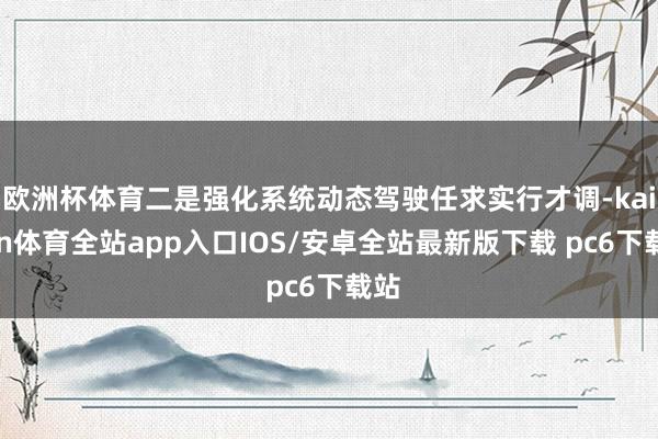 欧洲杯体育二是强化系统动态驾驶任求实行才调-kaiyun体育全站app入口IOS/安卓全站最新版下载 pc6下载站