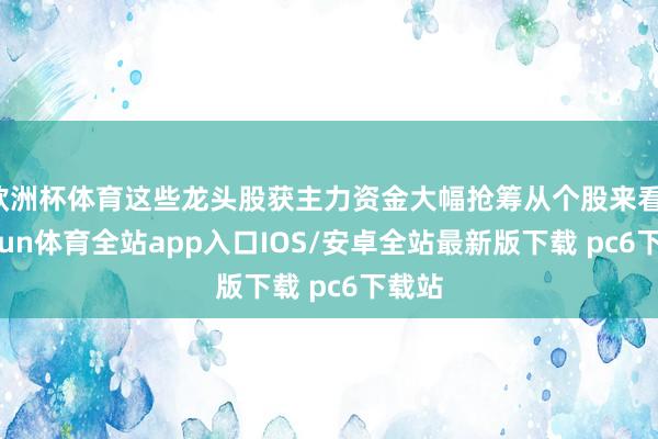 欧洲杯体育这些龙头股获主力资金大幅抢筹从个股来看-kaiyun体育全站app入口IOS/安卓全站最新版下载 pc6下载站