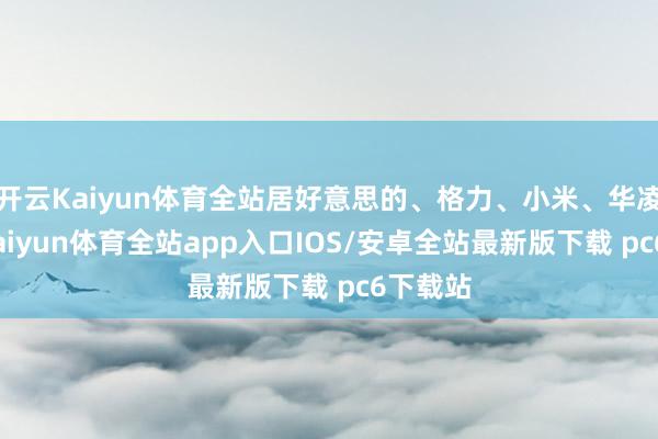 开云Kaiyun体育全站居好意思的、格力、小米、华凌之后-kaiyun体育全站app入口IOS/安卓全站最新版下载 pc6下载站