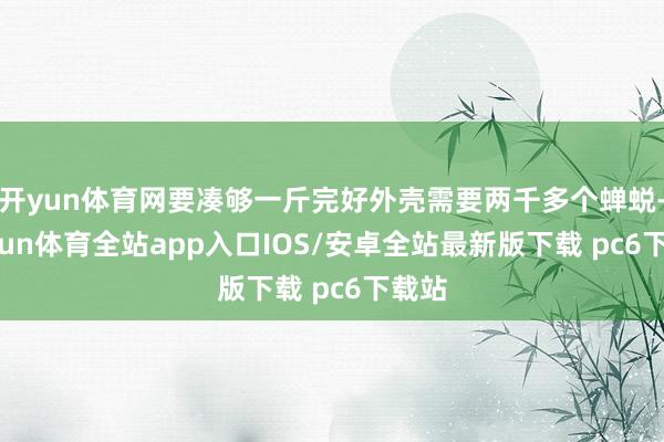 开yun体育网要凑够一斤完好外壳需要两千多个蝉蜕-kaiyun体育全站app入口IOS/安卓全站最新版下载 pc6下载站